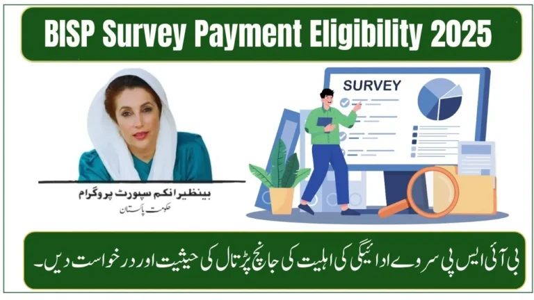 BISP Survey 2025 Payment Eligibility – Check Status and Application Guide