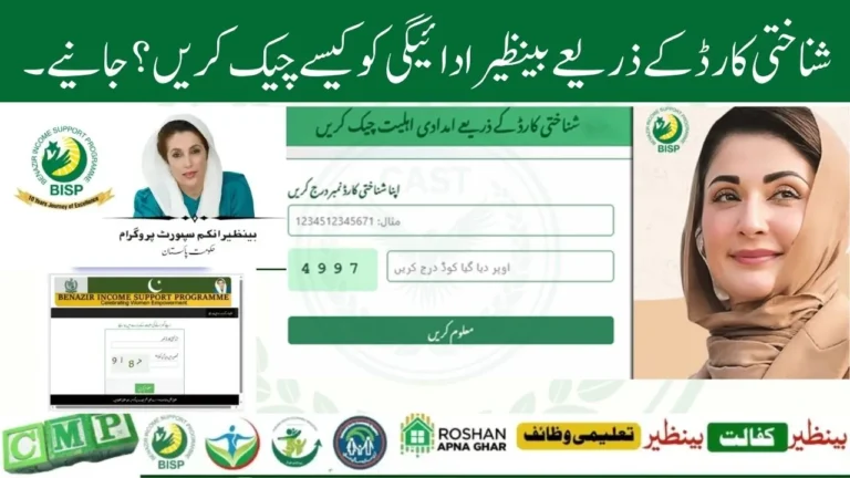 How to Check BISP Payment 2025 by CNIC Number – Online, SMS, and App Guide