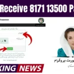 8171 Web Portal 2025 – Check Online 13500 BISP Payment in Pakistan