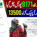 BISP 8171 New Portal 2025 – How to Check 13,500 Ehsaas Payment Online