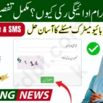 BISP Payment Delay 2025 – Main Reasons and Complete Solutions