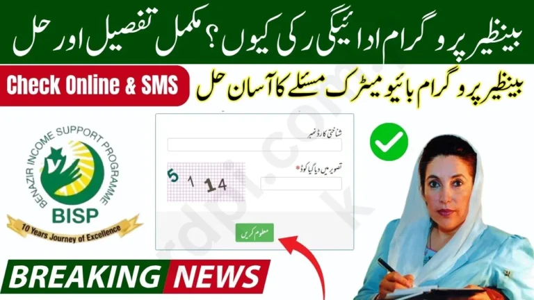 BISP Payment Delay 2025 – Main Reasons and Complete Solutions