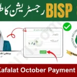 Benazir Kafalat 8171 Web Portal 2025 Check CNIC & Payment Start Date Online