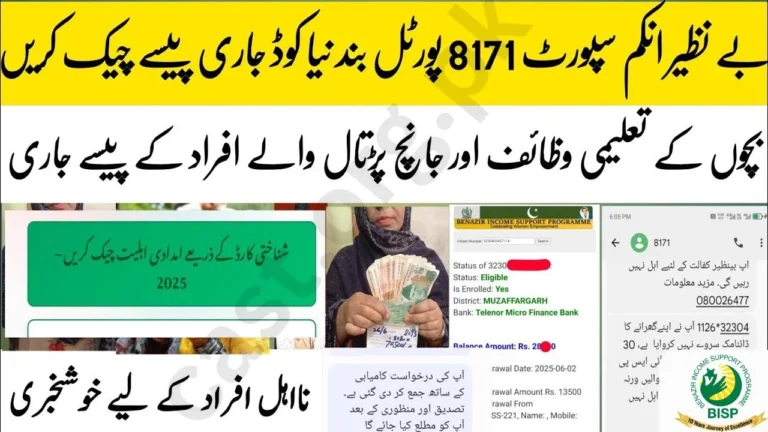Full Guide: How to Check BISP Payment by CNIC Number Detail Tracking 2025
