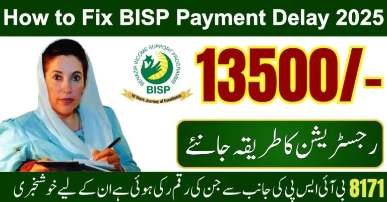 BISP Payment Delay Reasons 2025 and Solution (Complete Step-By-Step Guide)
