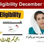BISP Eligibility December Update – New Rules and Verification Process 2025